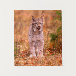 Bobcat Hunting   Autumn Forest Tapestry