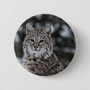 Bobcat in the Snow 6 Cm Round Badge