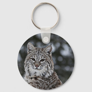 Bobcat in the Snow Key Ring