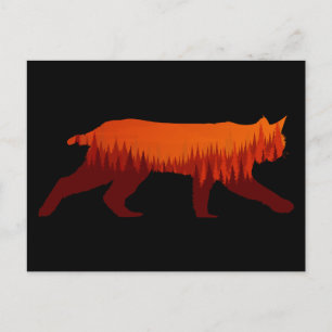 Bobcat Lynx Forest Tree Landscape Wilderness Sun Postcard