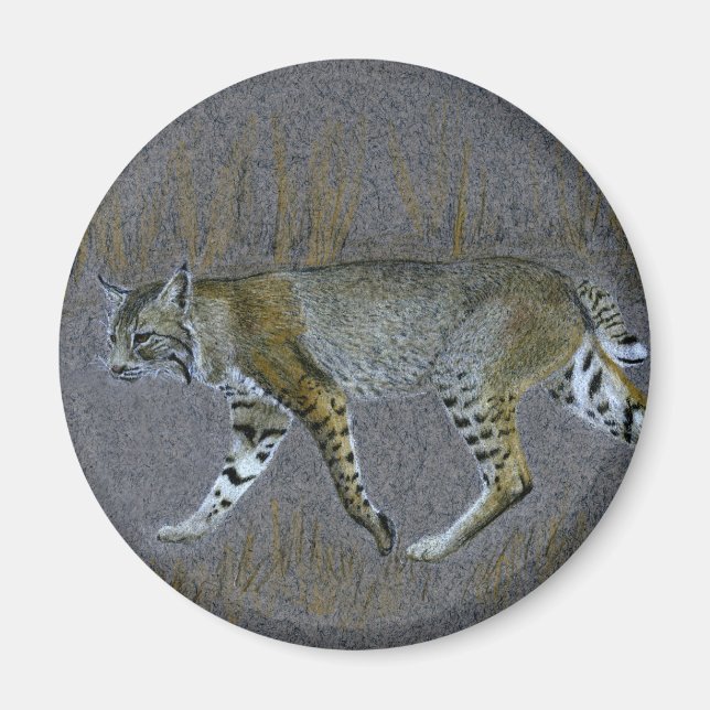 Bobcat Magnet (Front)