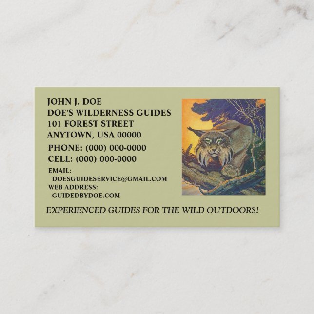 BOBCAT OUTDOOR~ EQUIPMENT SERVICES ~ BUSINESS CARD (Front)