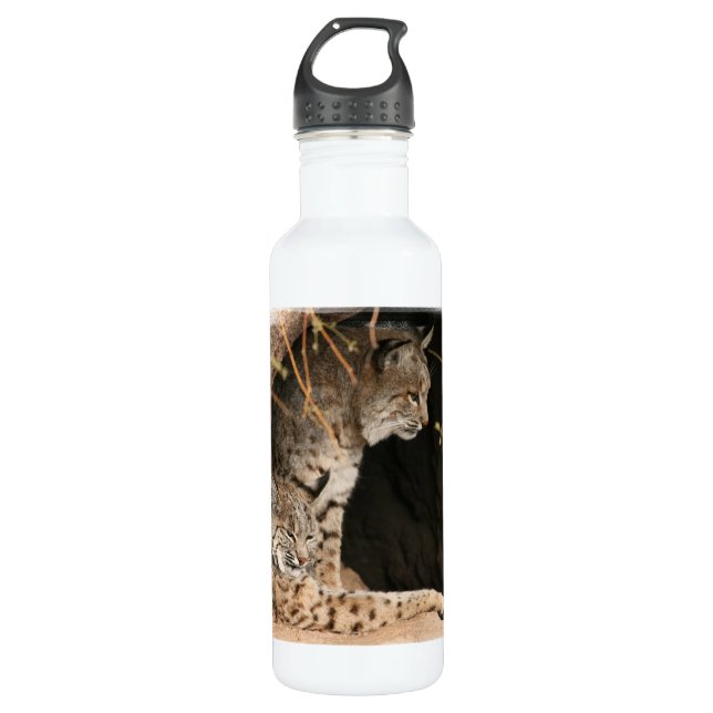 Bobcat Photo 710 Ml Water Bottle (Front)