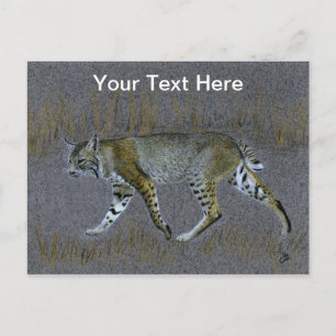 Bobcat Postcard