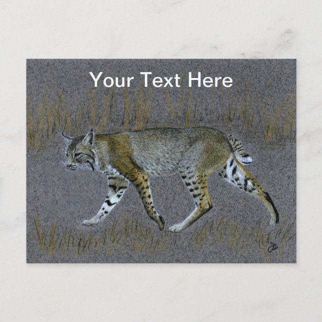 Bobcat Postcard (Front)