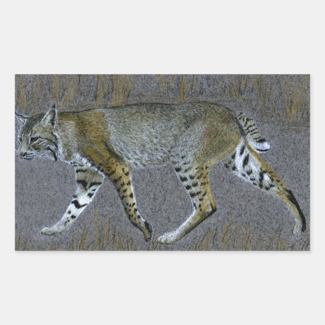 Bobcat Rectangular Sticker (Front)