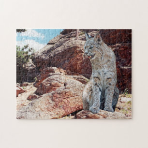 Bobcat Resting Among Rocks in Mountains  Jigsaw Puzzle