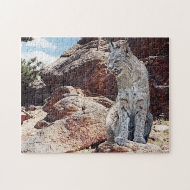 Bobcat Resting Among Rocks in Mountains  Jigsaw Puzzle (Horizontal)