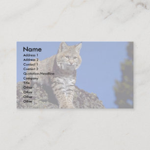 Bobcat skylined business card