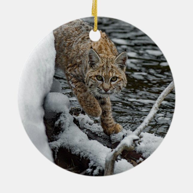 Bobcat Snow Water Photo Ceramic Tree Decoration (Back)
