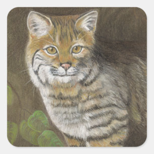 Bobcat Square Sticker