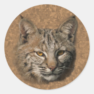 Bobcat Sticker