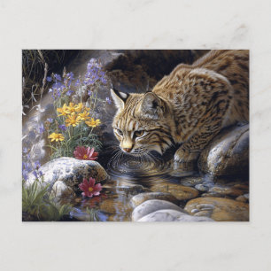 Bobcat with Wildflowers Scenic Art Postcard