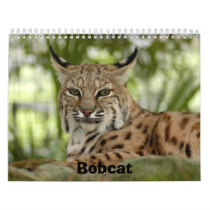 BobcatBCR031, Bobcat Calendar