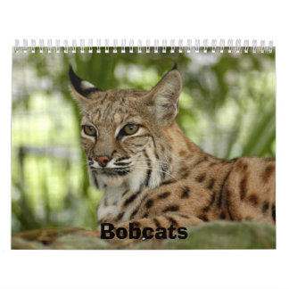 BobcatBCR032, Bobcats Calendar