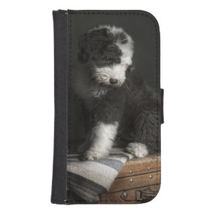 Bobtail puppy portrait in studio samsung s4 wallet case
