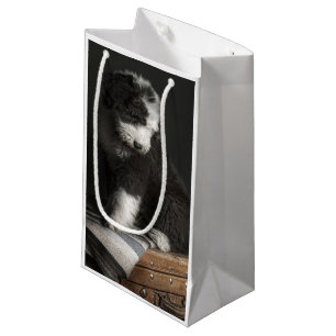 Bobtail puppy portrait in studio small gift bag