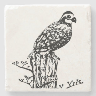Bobwhite Coaster