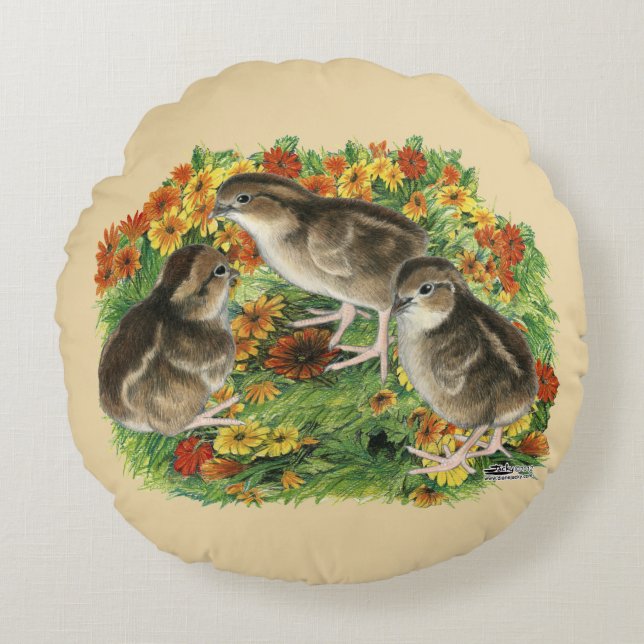 Bobwhite Garden Chicks Round Cushion (Front)
