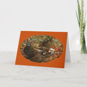 Bobwhite Miracle Card