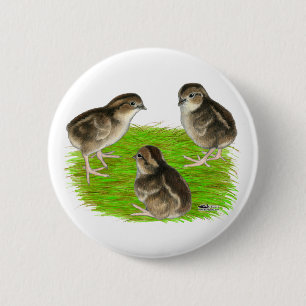 Bobwhite Quail Chicks 6 Cm Round Badge