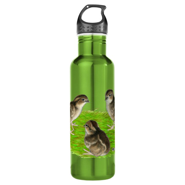 Bobwhite Quail Chicks 710 Ml Water Bottle (Front)