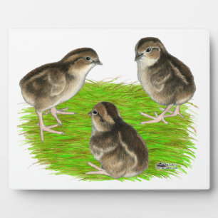 Bobwhite Quail Chicks Plaque
