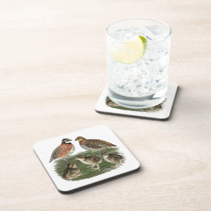 Bobwhite Quail Family Coaster