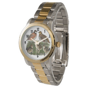 Bobwhite Quail Family Watch