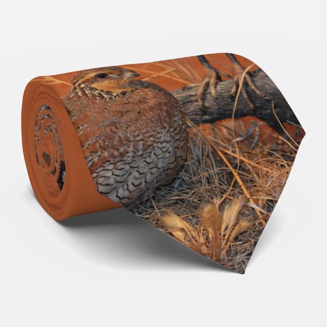 Bobwhite Quail (Georgia, Missouri and Tennessee) Tie (Rolled)