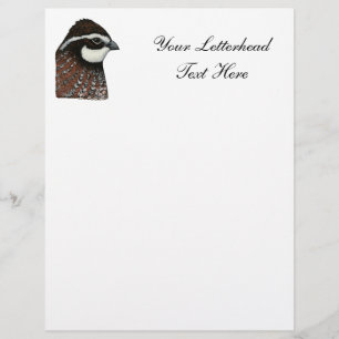 Bobwhite Quail Head