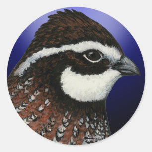 Bobwhite Quail Head Circle Classic Round Sticker