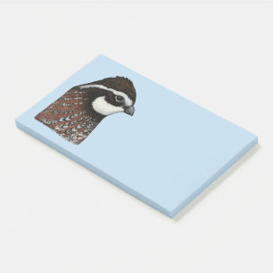 Bobwhite Quail Head Post-it Notes
