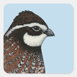 Bobwhite Quail Head Square Sticker