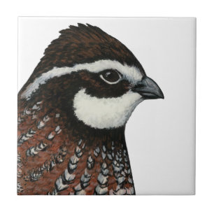 Bobwhite Quail Head Tile