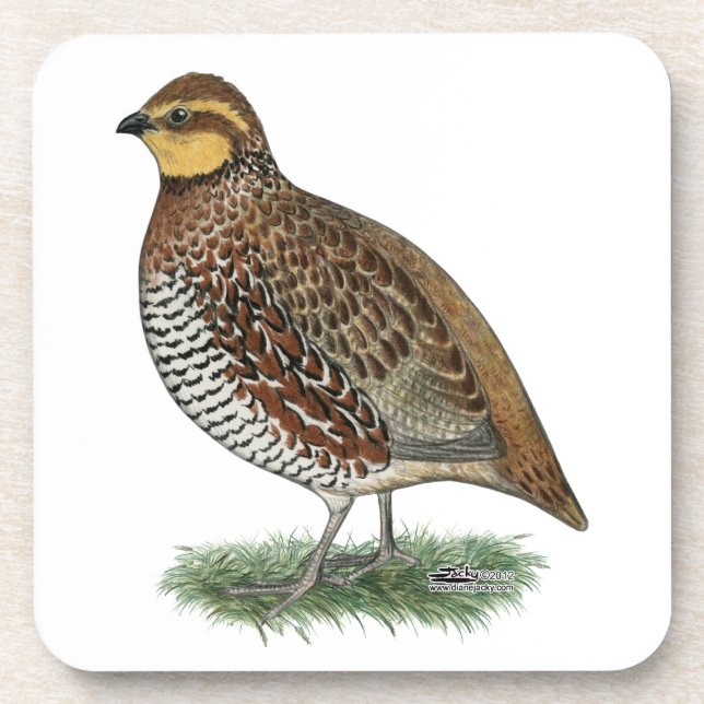 Bobwhite Quail Hen Coaster (Front)
