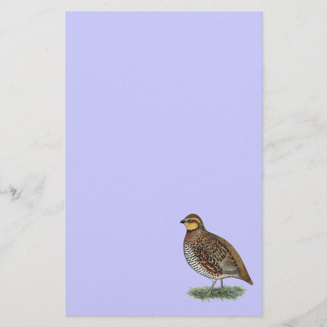 Bobwhite Quail Hen Stationery (Front)