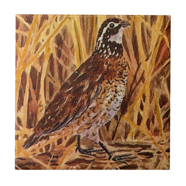Bobwhite Quail Logo (field) Tile (Front)