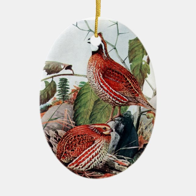 Bobwhite Quail Ornament (Front)