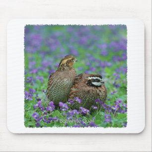 Bobwhite Quail Photography Mouse Mat