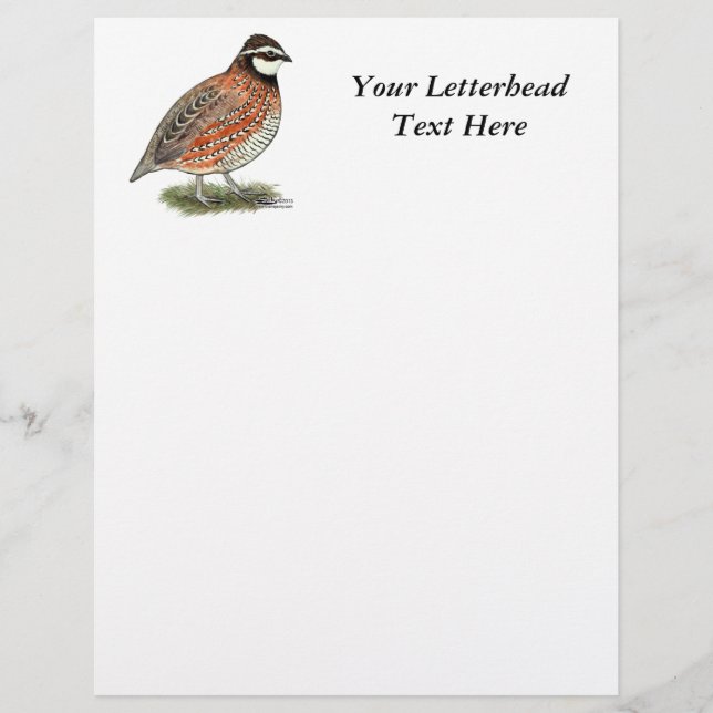 Bobwhite Quail Rooster (Front)