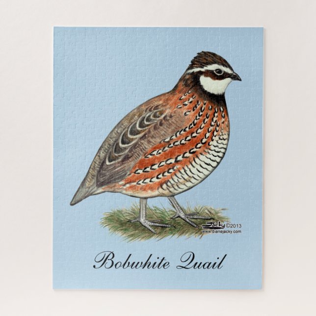 Bobwhite Quail Rooster Jigsaw Puzzle (Vertical)