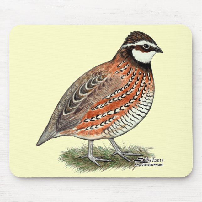 Bobwhite Quail Rooster Mouse Mat (Front)