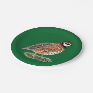 Bobwhite Quail Rooster Paper Plate