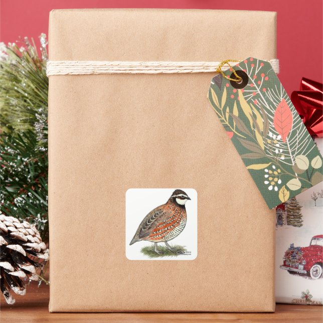 Bobwhite Quail Rooster Square Sticker (Holiday)