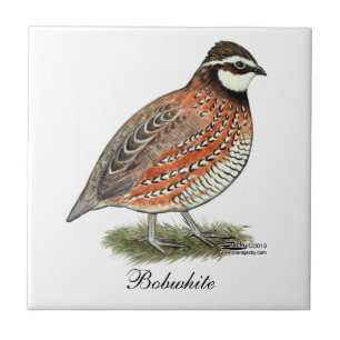 Bobwhite Quail Rooster Tile