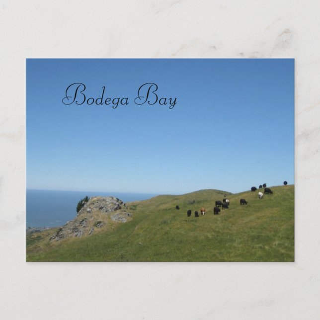 Bodega Bay, Ca, Postcard (Front)