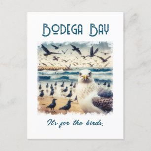 Bodega Bay California Souvenir Gift Postcard