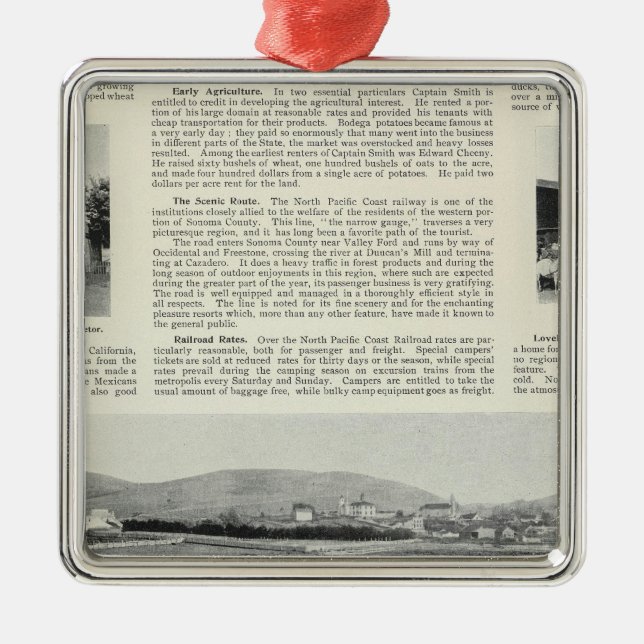 Bodega, California Metal Tree Decoration (Front)