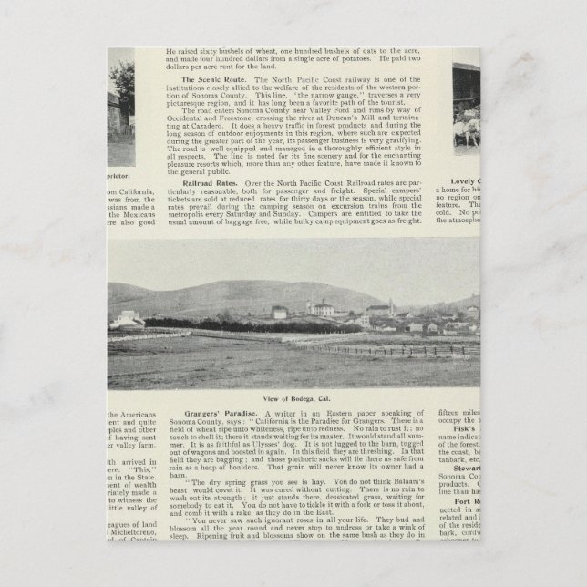 Bodega, California Postcard (Front)